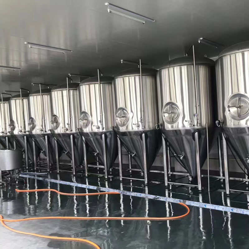 丛台小型啤酒设备