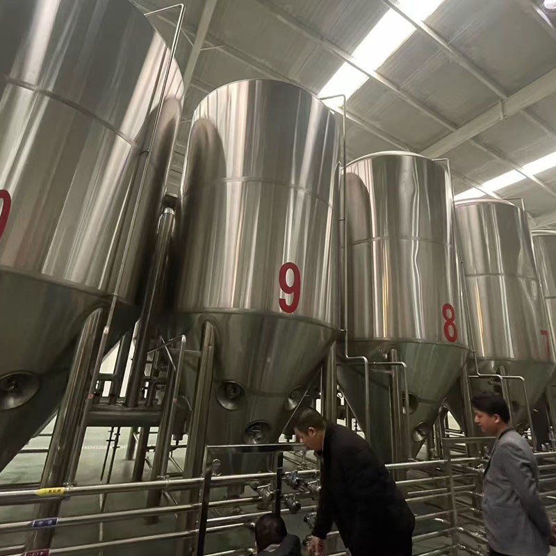 丛台精酿啤酒设备